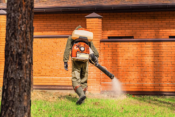 Trusted Emergency Pest Control service in New Tazewell, TN - Nex Pest Control